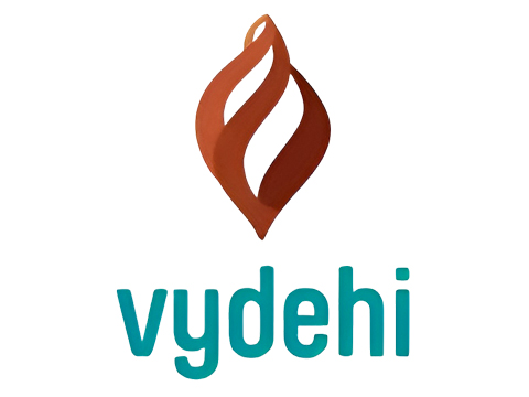 Logo Item